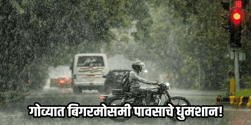 दिवाळीनंतरही पावसाचा जोर कायम; बिगरमोसमी पाऊस सरासरीपेक्षा ३६ टक्क्यांनी अधिक
