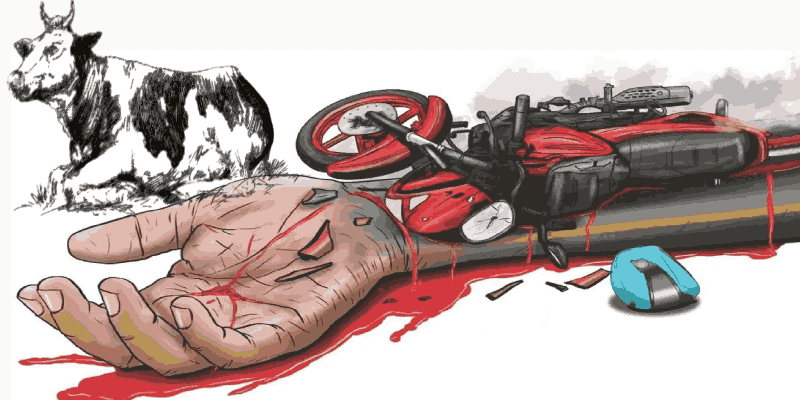 माशे, काणकोण येथे दुचाकीची भटक्या गुरांना धडक; कारवारच्या वैद्यकीय विद्यार्थ्याचा मृत्यू