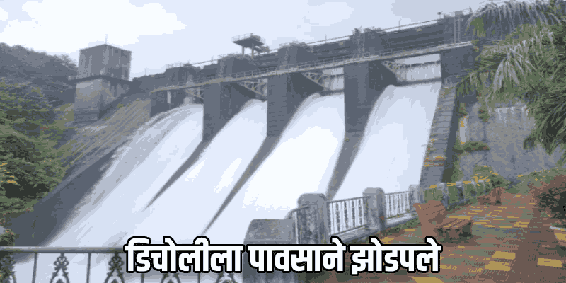 डिचोलीत अवकाळी पावसाचा कहर; सुमारे ३८० हेक्टर भातशेतीचे नुकसान, ६९० शेतकऱ्यांना फटका