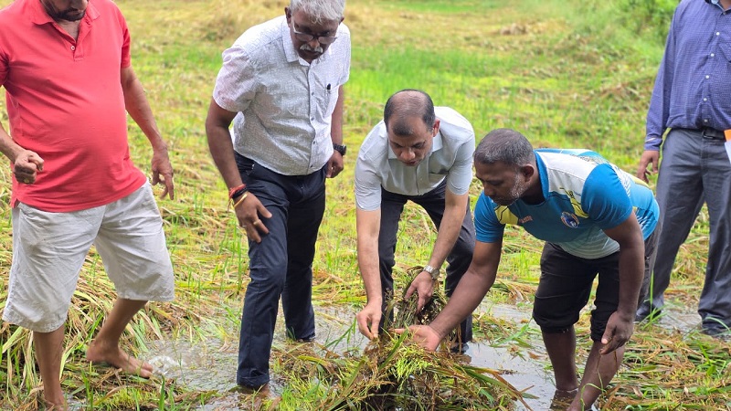 साळ, मेणकुरेत आमदार, अधिकाऱ्यांनी केली पाहणी
