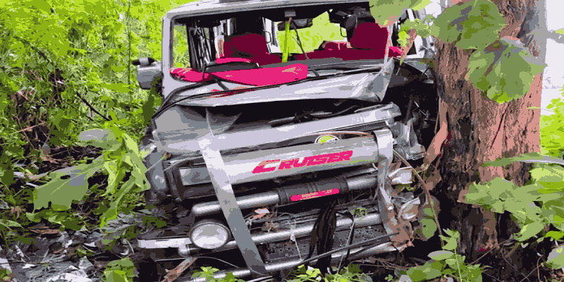 डिचोलीत व्हाळशी जंक्शनजवळ वाहनाची झाडाला जोरदार धडक; कर्नाटकातील तिघे गंभीर जखमी