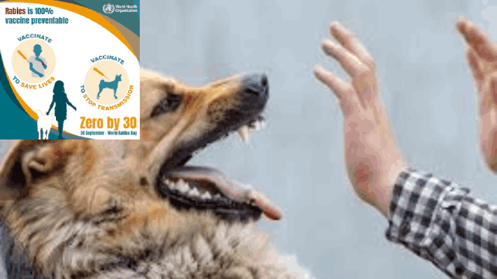 "गोवा रेबीज निर्मूलन मॉडेल" देशात व जगभरात : १२ राज्ये, २० देशांमध्ये प्रभाव