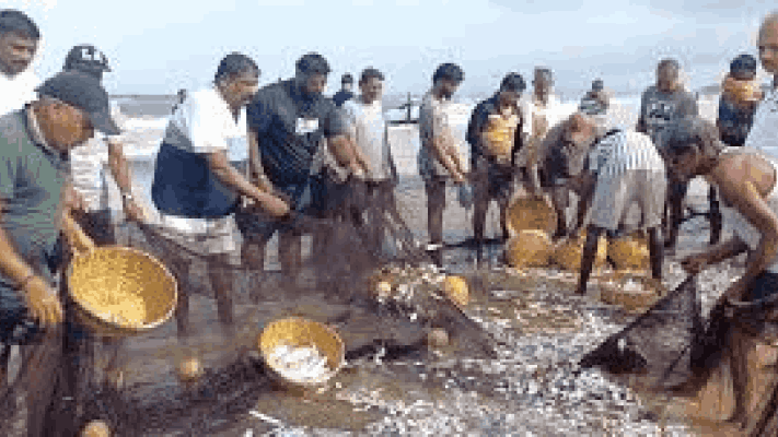 गोव्यात कुठलाही समुद्र किनारा ‘मासेमारी क्षेत्र’ सूचित नाही : मत्स्य खाते