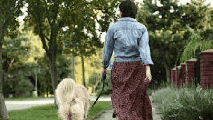 कुत्रा चावला तरी वरून मालकिणीची वकिलाला धमकी : म्हापसा पोलीस स्थानकात तक्रार नोंद