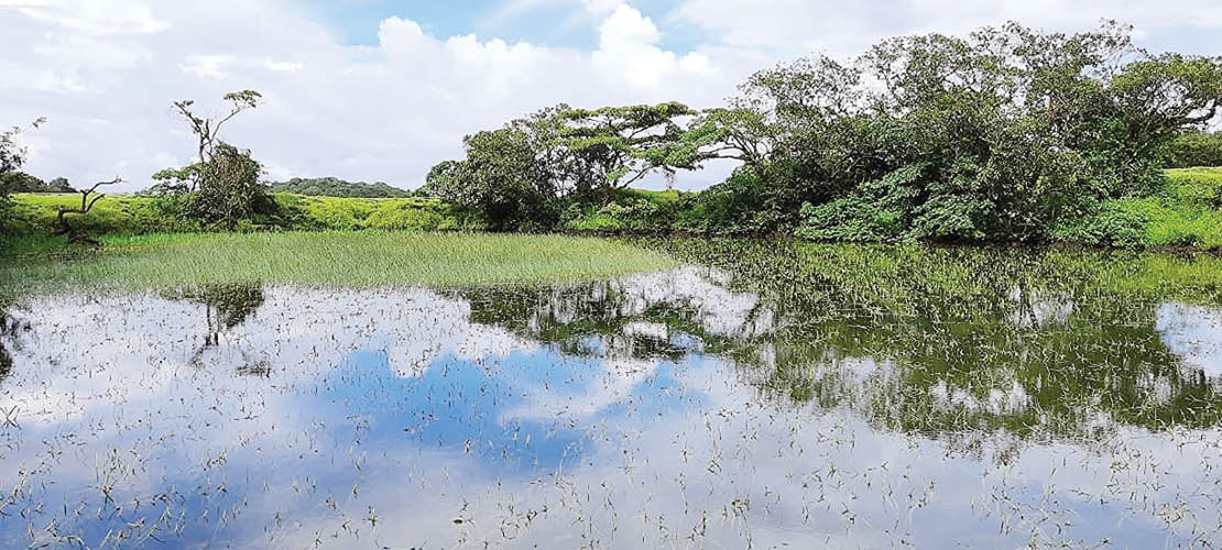 गोव्याच्या माथ्यावरचे चोर्ला
