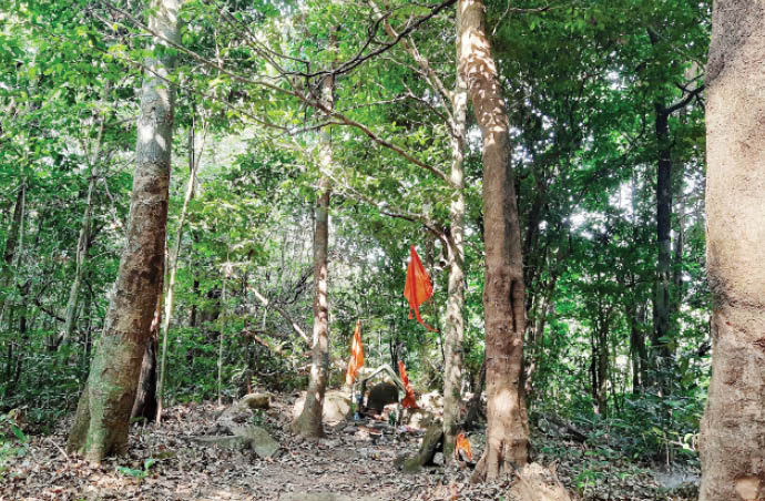 लोकधर्मातील देवराया