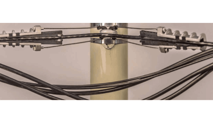 १४५ कोटी रुपयांच्या एबीसीची चौकशी रखडली