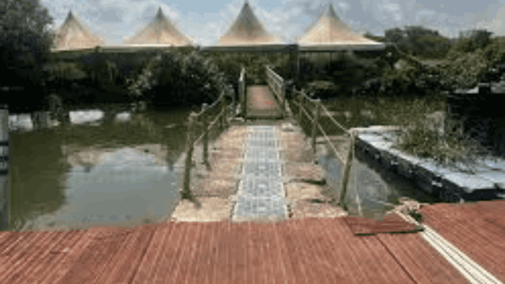 मांडवी नदीतील बेकायदेशीर जेटी : एनजीटीने संबंधित सरकारी खात्यांवर ओढले ताशेरे