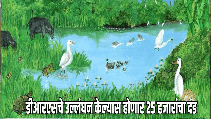 डीआरएसचे उल्लंघन केल्यास होणार कठोर कारवाई : २५ हजारांचा दंड