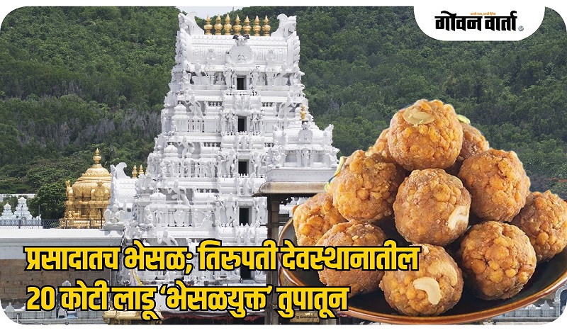 तिरुपती देवस्थानात २० कोटी लाडूंसाठी वापरले ‘भेसळयुक्त’ तूप