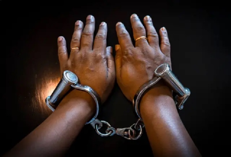 चोरीप्रकरणी सराईत गुन्हेगाराला कर्नाटकातून अटक