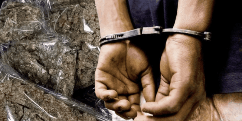 जप्त केलेली वस्तु गांजाच ! ओडिशातील युवकावर आरोप निश्चित करण्याचे आदेश