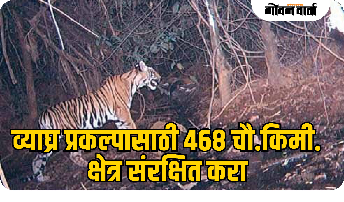 व्याघ्र प्रकल्पासाठी ४६८ चौ.किमी. क्षेत्र संरक्षित करा