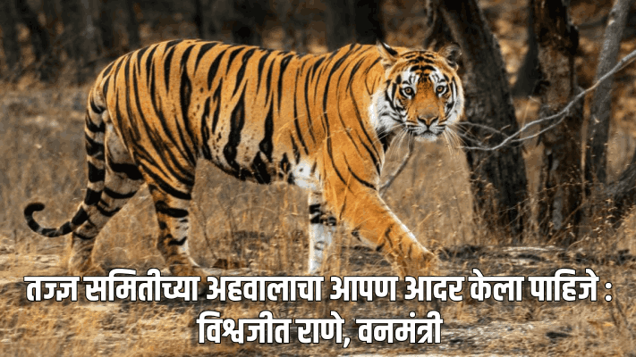 तज्ज्ञ समितीच्या अहवालावर सरकार विचारविनिमय करणार: विश्वजीत राणे