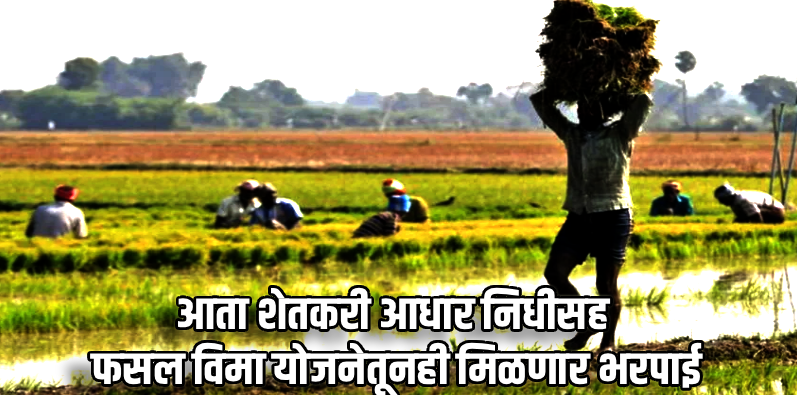 पिकांचे नुकसान झाल्यास विमा योजना ठरणार महत्त्वाची