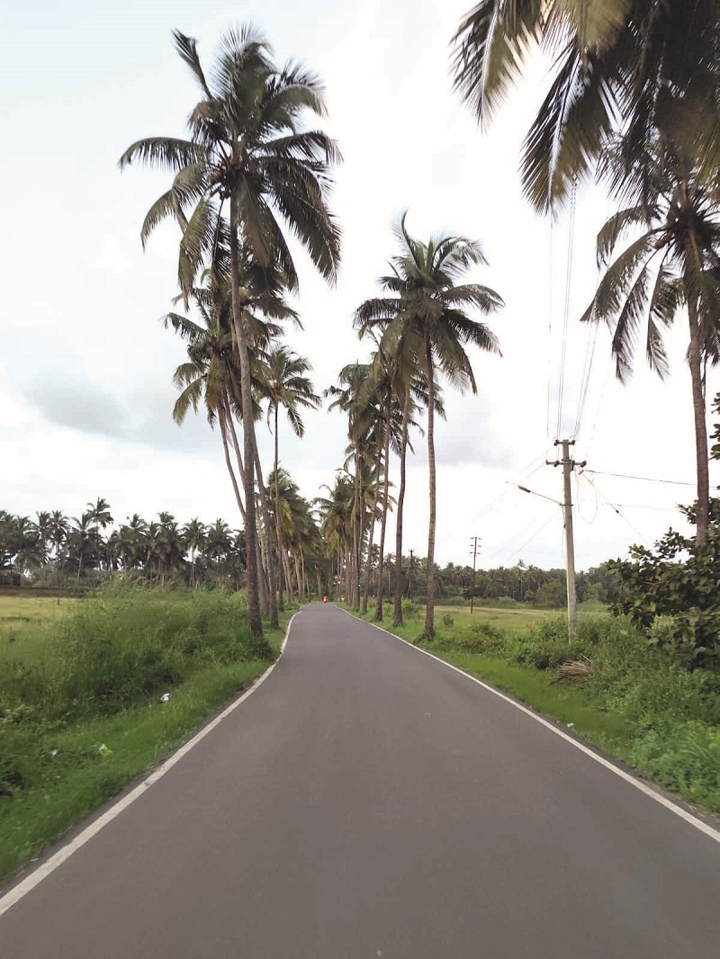 करमणे (सासष्टी) निसर्ग, वारसा आणि शांत जीवनाचा सुंदर मिलाफ