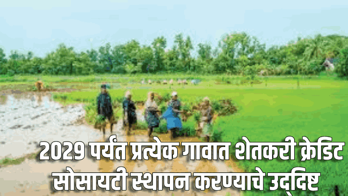 क्रेडिट सोसायटींना जनऔषधी आणि गॅस एजन्सी सुरू करण्याची मिळणार परवानगी