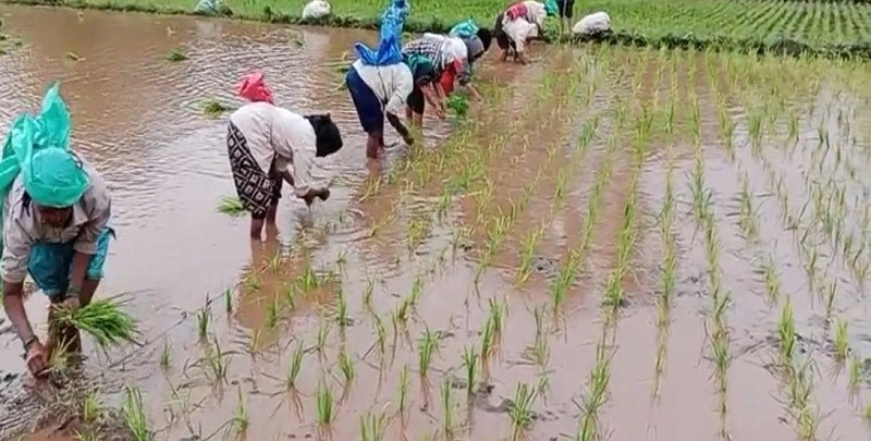 सहकार मंत्र्यांनी सहकारी शेतीला प्रोत्साहन द्यावे !
