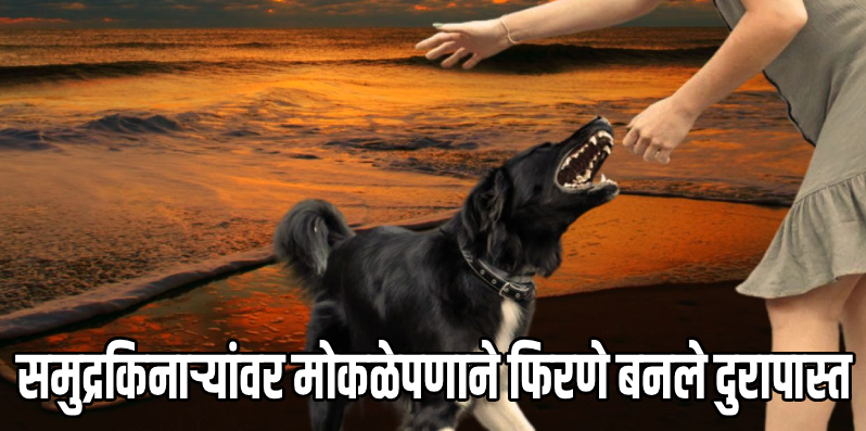 कोलवा समुद्रकिनारी भटक्या कुत्र्याने घेतला रशियन पर्यटकाचा चावा