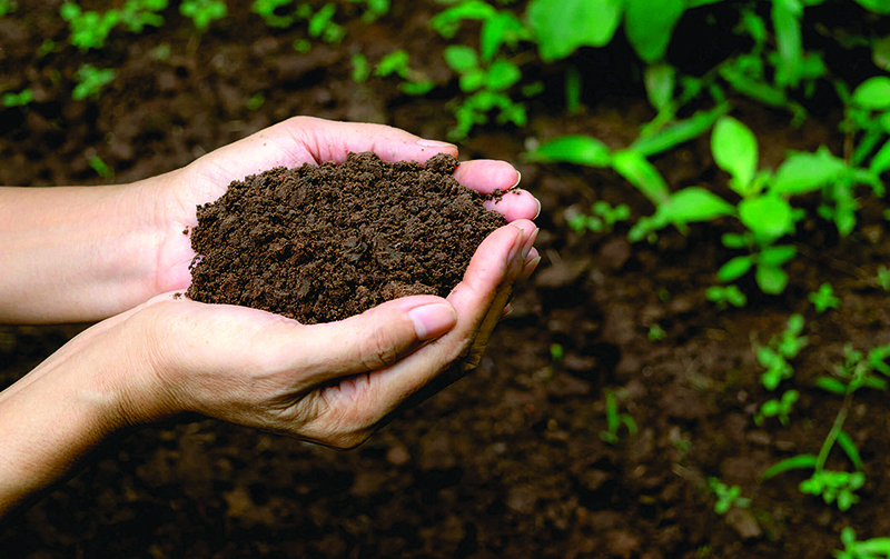 माती : जीवनाचा आधार आणि पृथ्वीचे भूषण