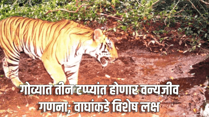 गोवा तीन टप्प्यांच्या वन्यजीव गणनेसाठी सज्ज;व्याघ्र संख्येकडे लक्ष