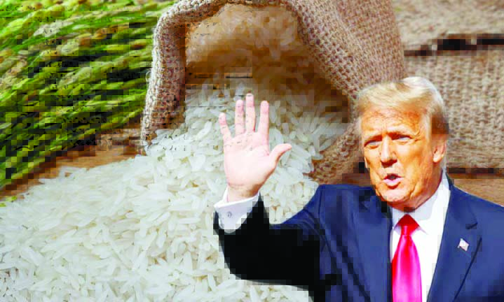 ट्रम्प भारतीय तांदळावर टॅरिफ लावण्याच्या तयारीत