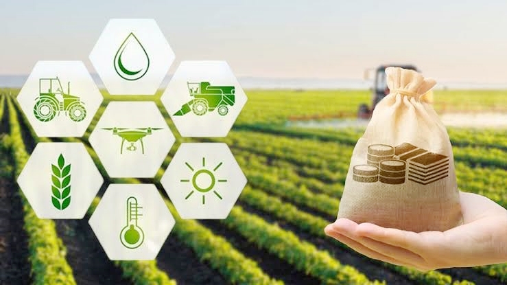 स्वस्त अन्नधान्याकडे वाटचाल, कृषी संशोधनात आता दुप्पट गुंतवणुकीची गरज