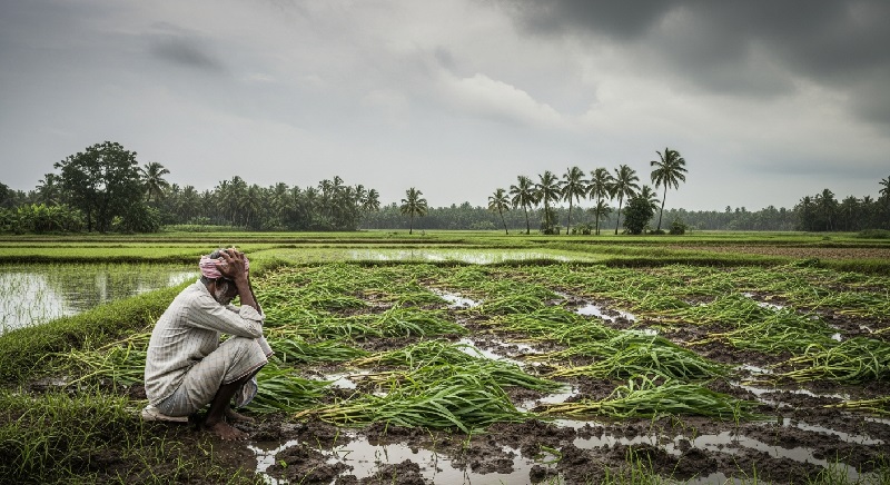 आपत्ती व्यवस्थापन निधीतून शेतकऱ्यांना ६३ कोटींची भरपाई