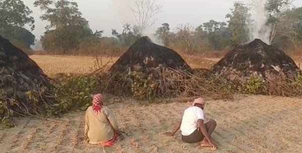 अज्ञाताने लावलेल्या आगीत शेतकऱ्याच्या कष्टांची राखरांगोळी