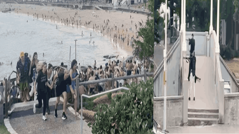 ऑस्ट्रेलियात गोळीबार करणारा साजिद अक्रम भारतातील हैदराबादचा