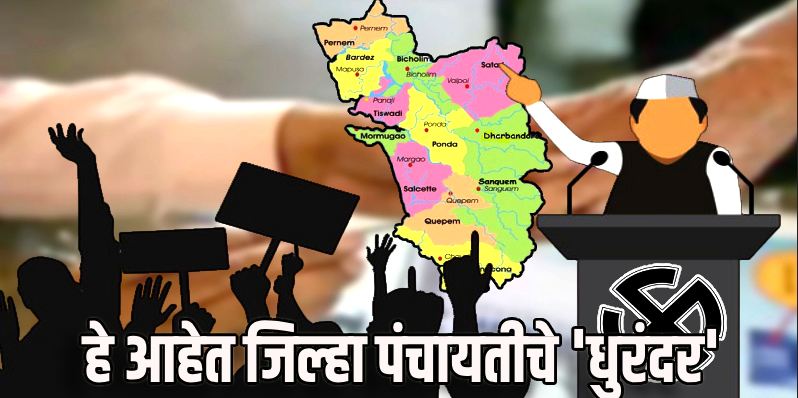 जिल्हा पंचायत निवडणूक विजयी उमेदवार