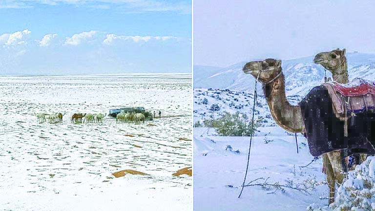 वाळवंटातील हिमवृष्टी काय सांगते ?