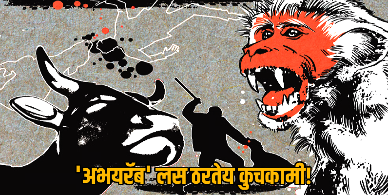 रेबीज लस घेऊनही मृत्यूचा धोका? ऑस्ट्रेलियाकडून 'अभयरॅब' ब्रँडवर प्रश्नचिन्ह उपस्थित