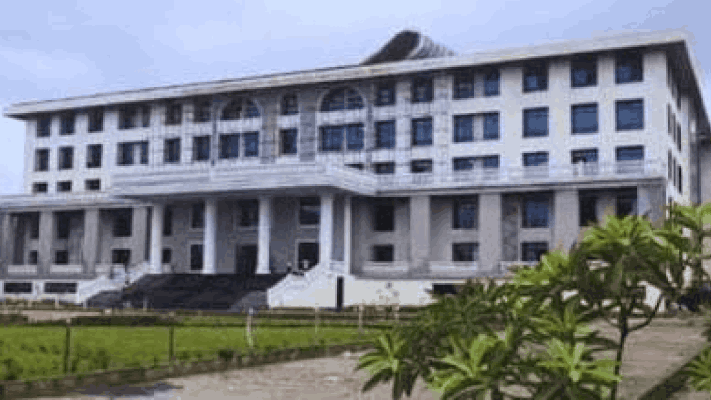 आईचा सदोष मनुष्यवध; पुत्राला ६ वर्षांचा कारावास