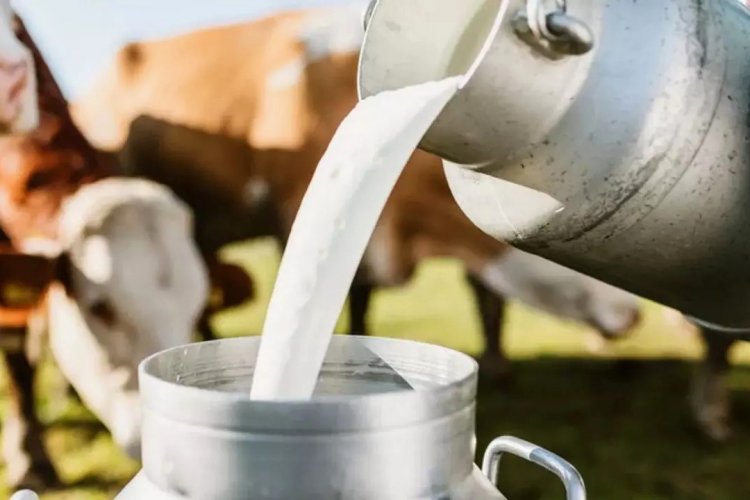 सत्तरीतील दूध उत्पादकांची आधारभूत रक्कम रखडली