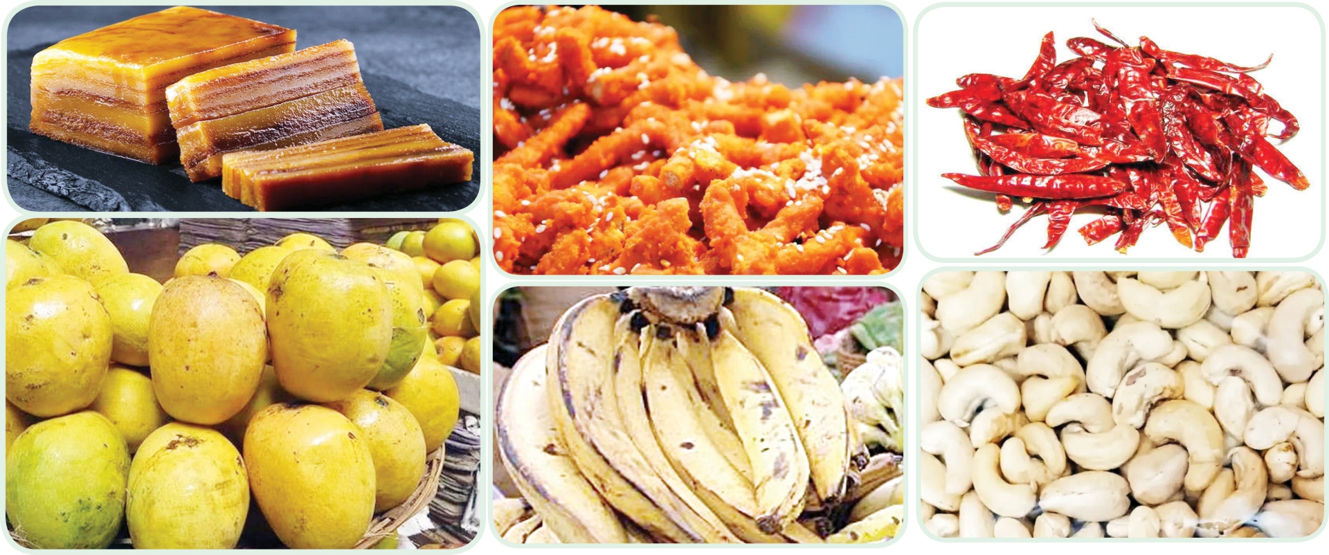 भौगोलिक मानांकन  पर्यावरणीय संरक्षणाची दिशा