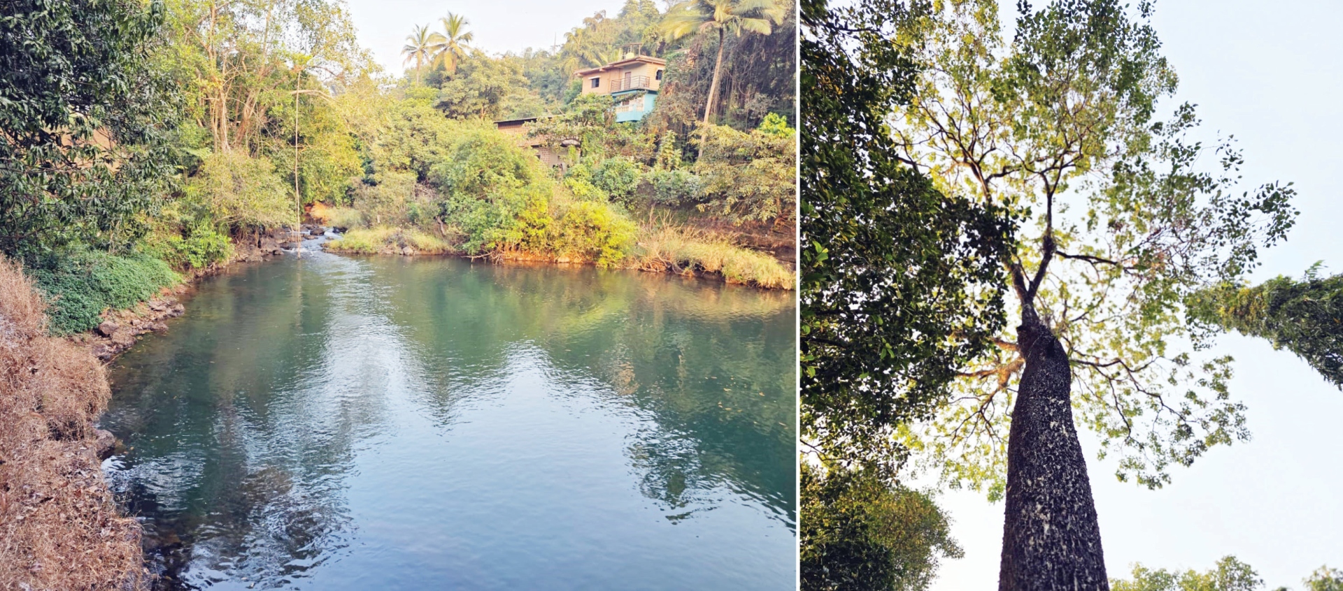 एक प्रवाह पावित्र्याचा...