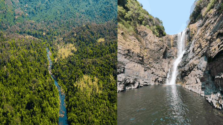 कळसा प्रकल्पामुळे म्हादईच्या पर्यावरणाची अपरिमित हानी होईल : केंद्रीय समिती