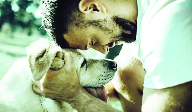 जन्मदर घटण्यामागचे खरे कारण काय ?