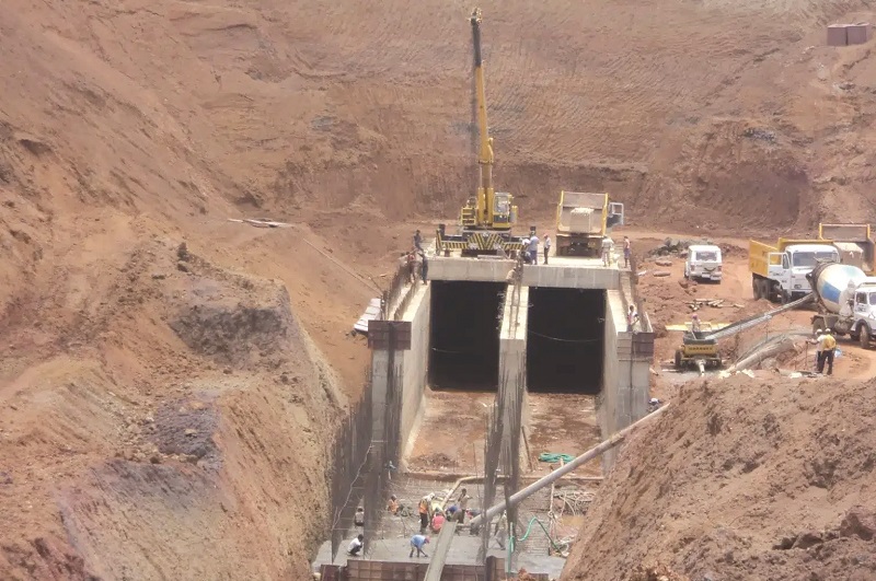 म्हादईचे प्रकल्प पुढे नेण्यासाठी कर्नाटकाचे सर्वतोपरी प्रयत्न