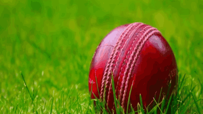 लोटलीत क्रिकेट अकादमीसाठी २५ हजार चौ.मी. जागेस मान्यता; आक्षेपांसाठी एक महिन्याची मुदत