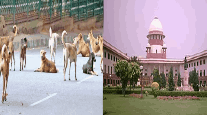 कुत्रा चावून मृत्यू ओढवल्यास राज्य सरकारनी द्यावी भरपाई : सर्वोच्च न्यायालय