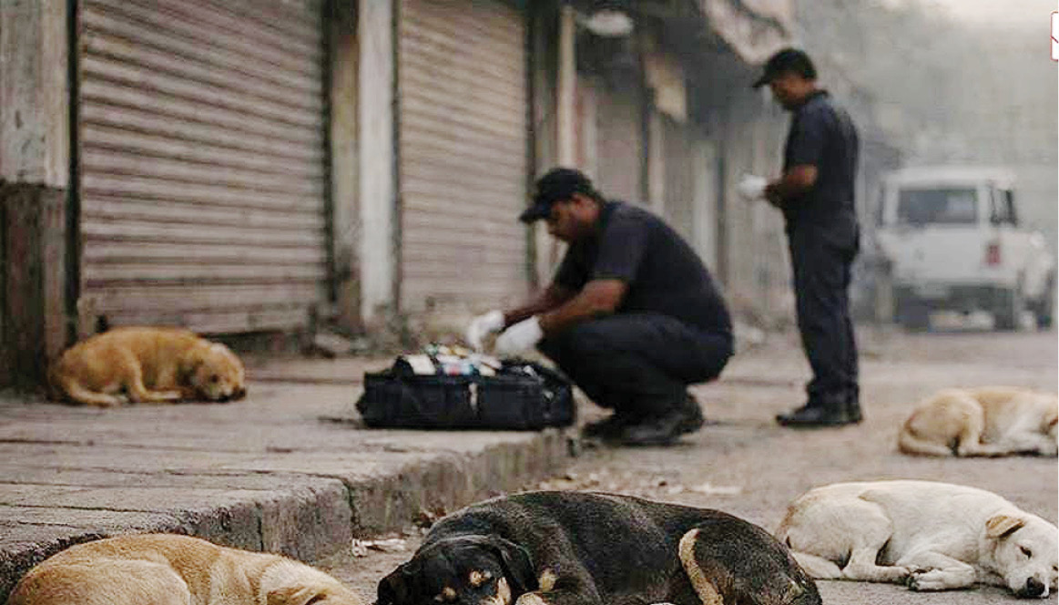 शेकडो भटक्या कुत्र्यांचे हत्याकांड निषेधार्हच