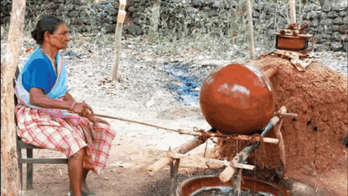 अबकारी खात्याकडून काजू भट्टी लावण्यासाठी होणार लवकरच लिलाव