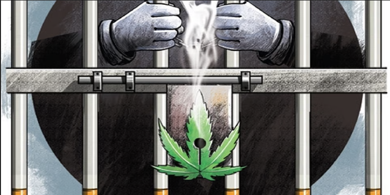 मोरजीमध्ये ४.७२ लाखांच्या गांजासदृश्य अमलीपदार्थासह कर्नाटकचा तरुण जेरबंद