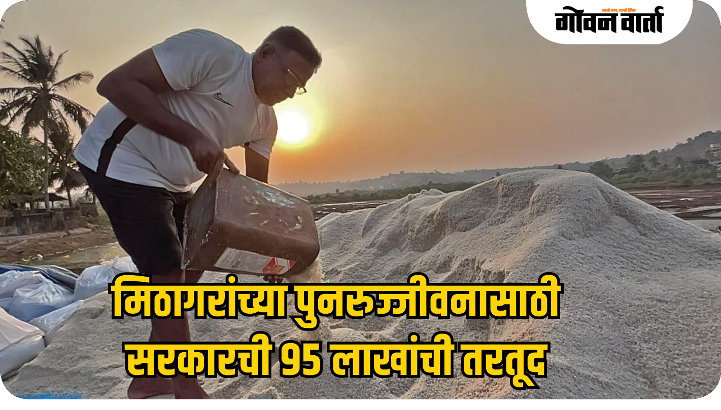 मिठागरांच्या पुनरुज्जीवनासाठी सरकारची ९५ लाखांची तरतूद