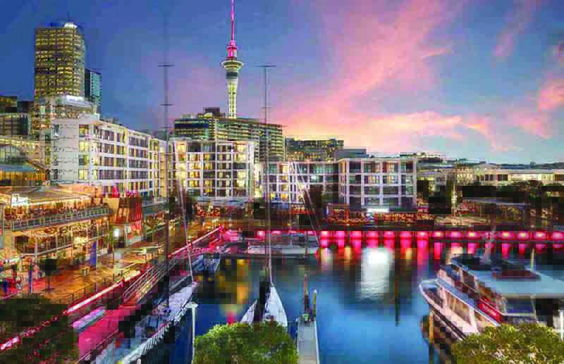 ‘किवीं’ना  खुणावतोय  कांगारूंचा देश