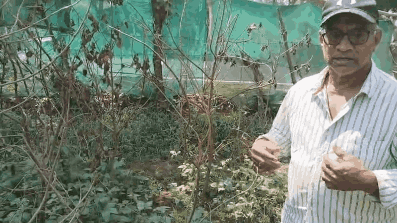 पेडणे तालुक्यात खताची कमतरता; खत आणण्यासाठी जावे लागते महाराष्ट्रात