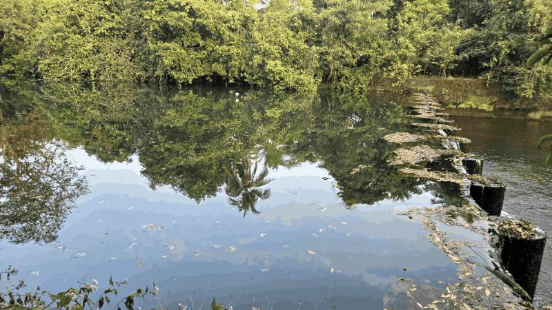 सत्तरीतील ३० बंधाऱ्यांची लोखंडी गेट गंजून पडली छिद्रे; पाणीसाठा घटल्याने शेतकरी चिंतेत