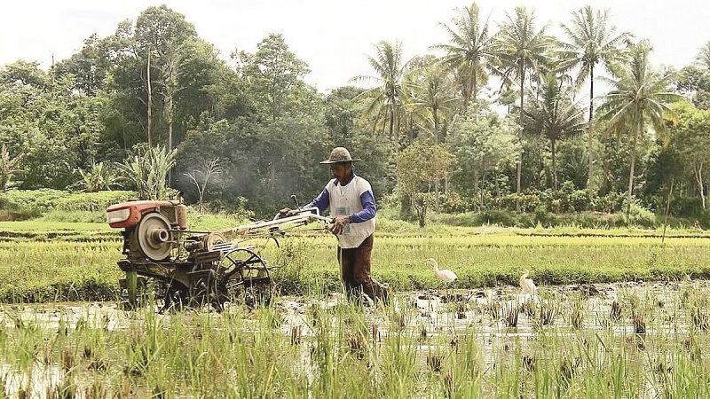 शेतकऱ्यांना उद्ध्वस्त करणारा करार